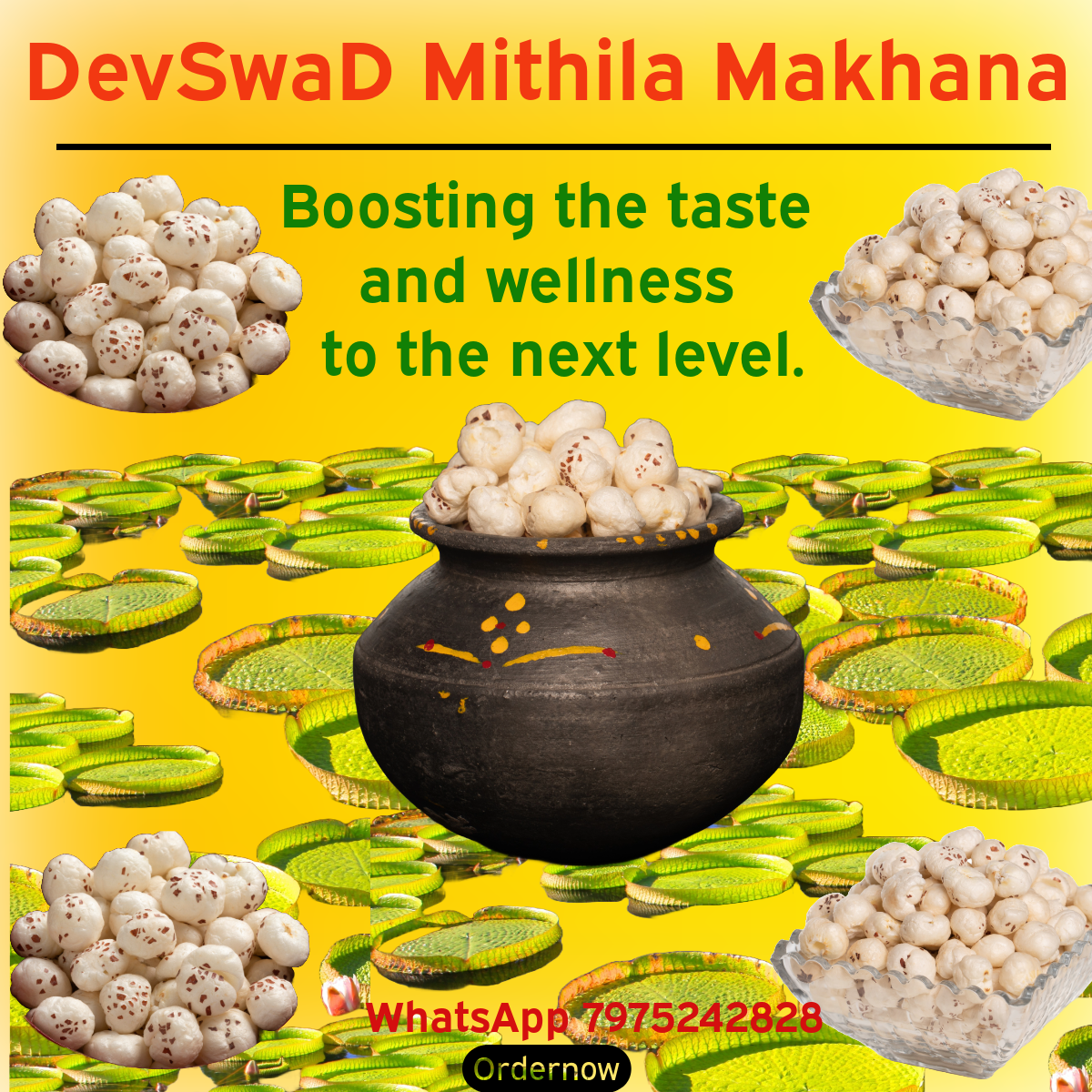 DevSwaD Mithila Makhana 200g High Protein, Rich in Fiber, Naturally Fat-Free